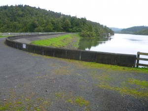 Cossey Dam