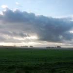 Waikato farm, early morning