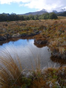 Alpine bog pond