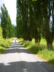 Etienne on the road to Whakahoro
