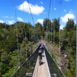 Marius and Etienne on a Timber Trail suspension bridge