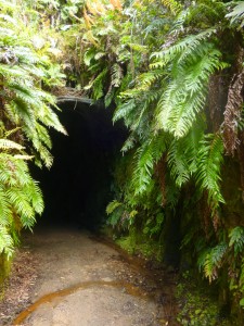 Tunnel entrance