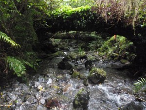 This is the path. Yes. (Sigh!)