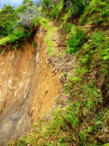 Again - this is the path!